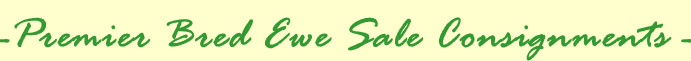 Premier Bred Ewe Sale Consignment