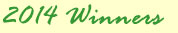 2013 Winners